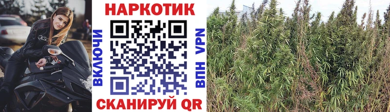 Купить Новосибирск МАРИХУАНА  Амфетамин  OMG ссылка  МЕФ  Cocaine  ГАШИШ 