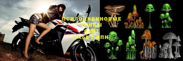 дурь Абаза
