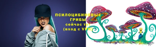 ешки Алзамай