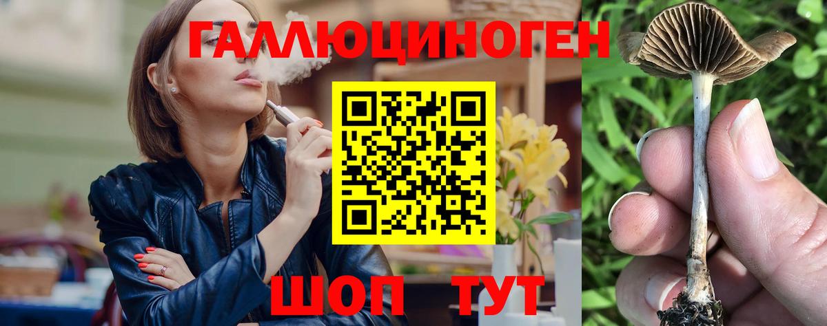 Галлюциногенные грибы мицелий  Вход с VPN  наркота  Новосибирск 